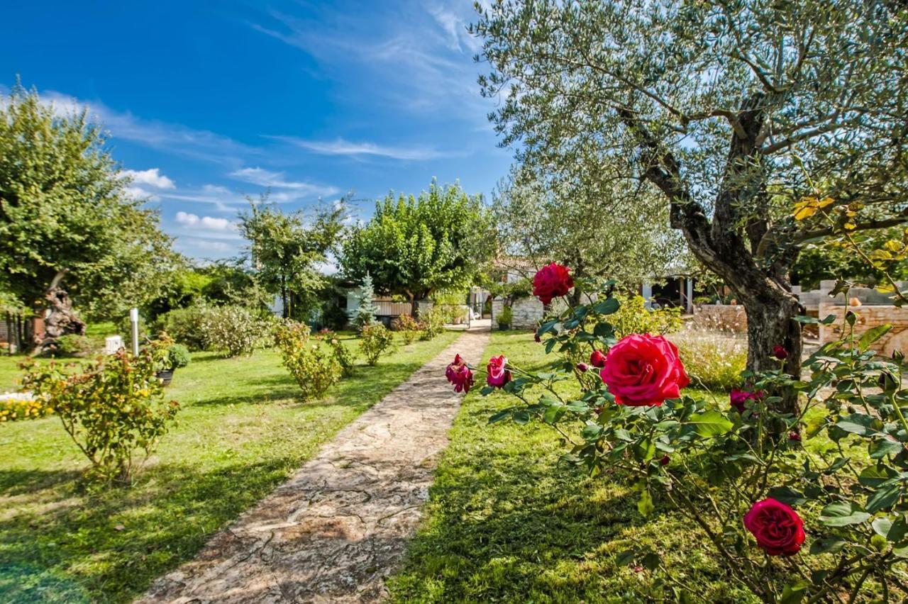 Holiday Apartment Daria 20 Ровин Екстериор снимка